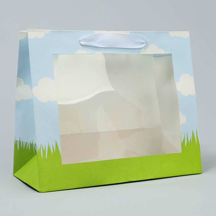 Пакет подарочный крафтовый с пластиковым окном, упаковка, «Friends», 24 х 20 х 11 см Пакет подарочный крафтовый с пластиковым окном, упаковка, «Friends», 24 х 20 х 11 см