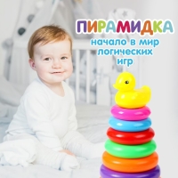 Пирамидка «Уточка», 7 колец