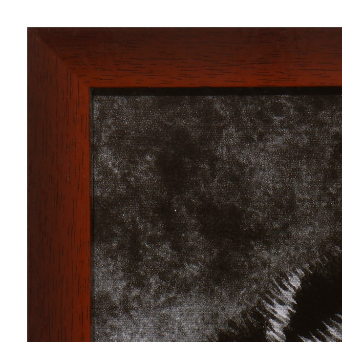 Картина  Картина "Девушка и леопард" 56х106см рамка микс