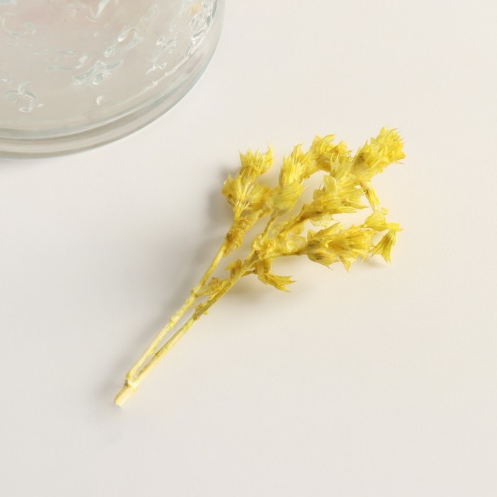 Набор сухоцветов Набор сухоцветов "Шандра", банч длина 40 (+/- 6 см), яблоко