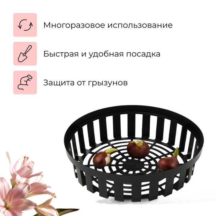 Корзина для луковичных, круглая, d = 30 см, h = 8 см, чёрная Корзина для луковичных, круглая, d = 30 см, h = 8 см, чёрная