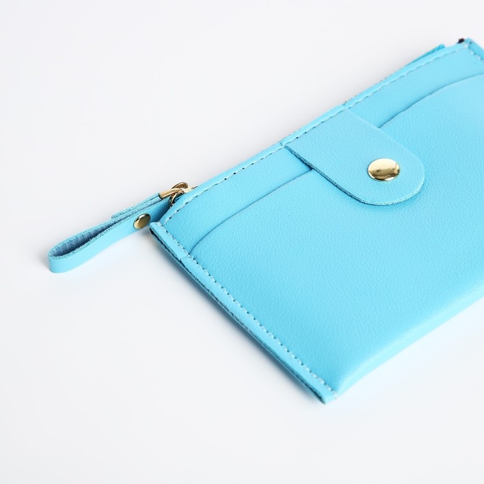 Картхолдер на молнии, цвет голубой Картхолдер на молнии, цвет голубой