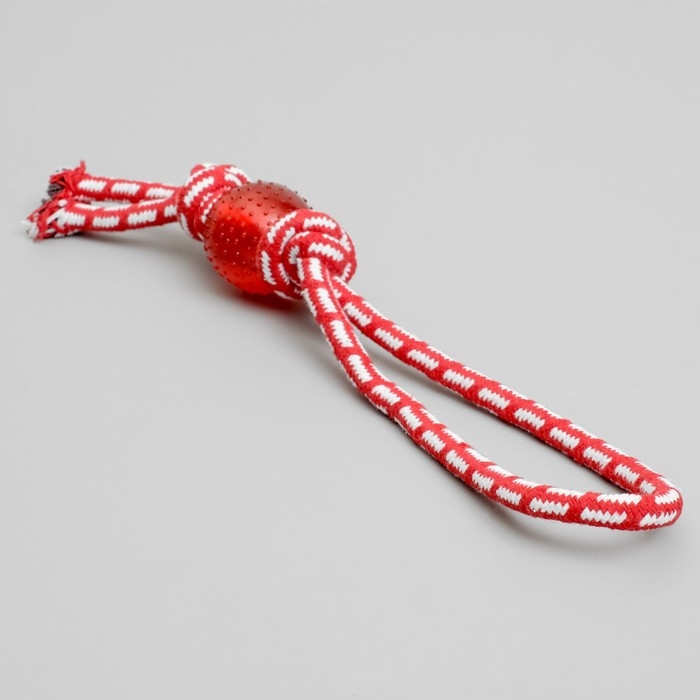 Игрушка канатная Игрушка канатная "Узел с мячиком", до 80 г, микс цветов