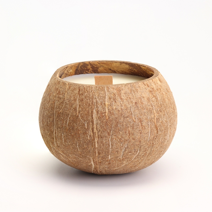 Свеча в кокосе ароматическая, зелёный чай, соевый воск, 8х10 см, в коробке Свеча в кокосе ароматическая, зелёный чай, соевый воск, 8х10 см, в коробке