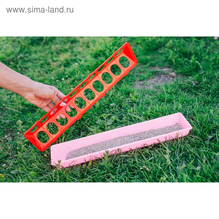 Кормушка-поилка для перепелов, 20 ячеек, лотковая, пластик, цвет МИКС Кормушка-поилка для перепелов, 20 ячеек, лотковая, пластик, цвет МИКС