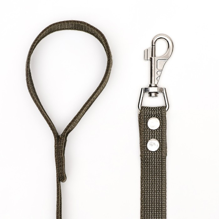 Поводок брезентовый 3 м х 2,5 см, тёмно-зелёный Поводок брезентовый 3 м х 2,5 см, тёмно-зелёный