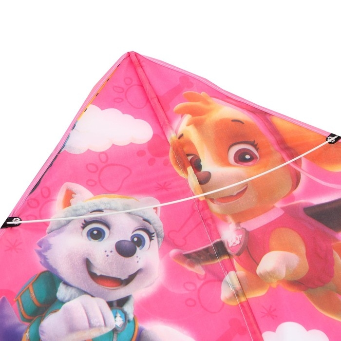 Воздушный змей «Щенячий патруль», Paw Patrol, 50х80 см