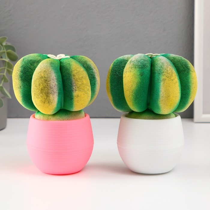 Растущий подарок травка Экоживчик Растущий подарок травка Экоживчик "Кактус Астрофитум" МИКС