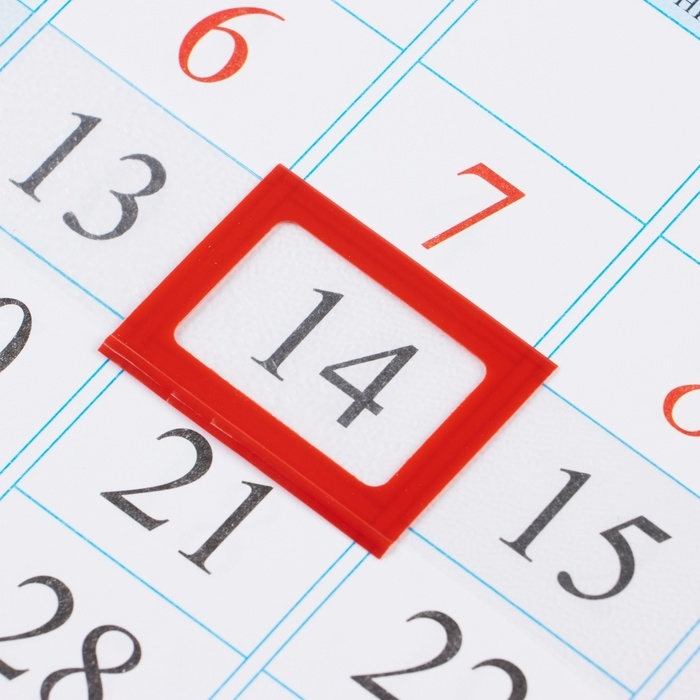 Календарь квартальный моно Календарь квартальный моно "Кошкин дом" 2025 год, 29 х 47 см