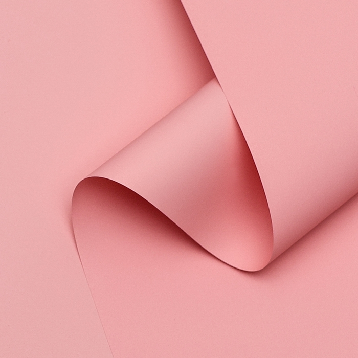 Пленка для цветов тонированная, матовая, лосось пастель, 0,5 х 10 м, 65 мкм Пленка для цветов тонированная, матовая, лосось пастель, 0,5 х 10 м, 65 мкм