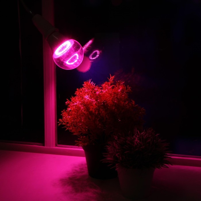 Фитолампа светодиодная Luazon, А60, E27, 12 Вт, IP44, 220 В, 270°, мультиспектральная Фитолампа светодиодная Luazon, А60, E27, 12 Вт, IP44, 220 В, 270°, мультиспектральная