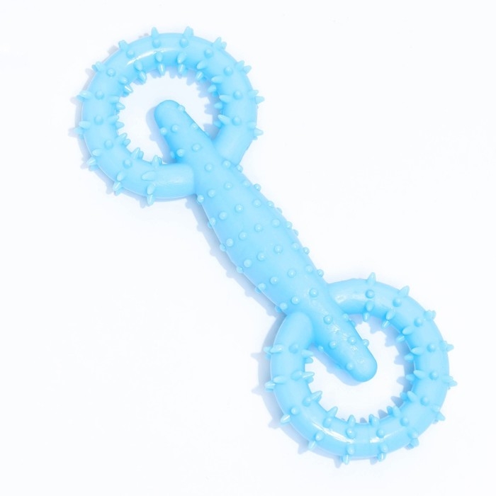 Игрушка для собак Игрушка для собак "Мотор", TPR, массажная, 16 х 5,8 см, голубая