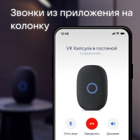 Умная колонка VK Капсула (MRC01BL), голосовой помощник Маруся, 30 Вт, Wi-Fi, BT 5.0, черная