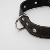 Ошейник кожаный тисненый однослойный, безразмерный, 3&times;60 см, ОШ 42-55 см, микс цветов