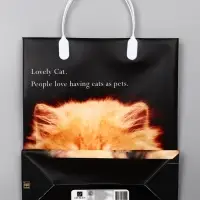 Пакет &laquo;Котенок&raquo;, мягкий пластик, 26&times;23 см, 100 мкм