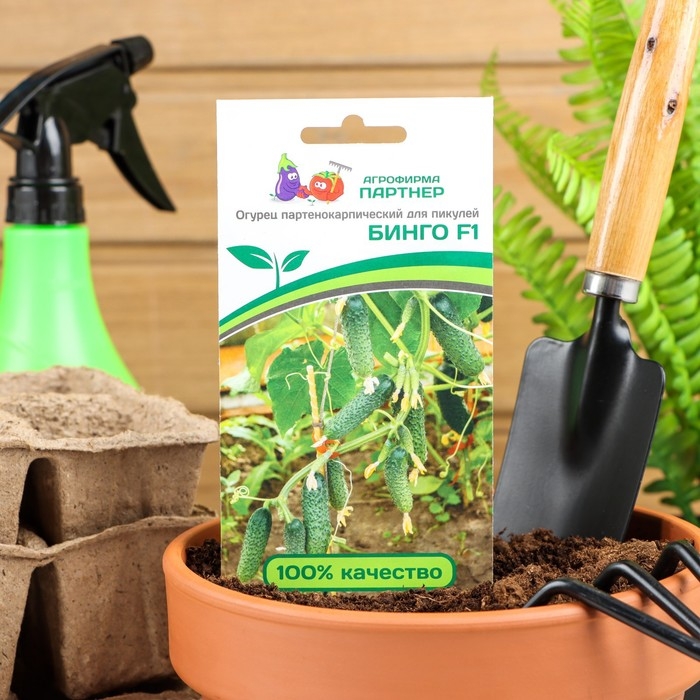 Семена огурца Семена огурца "Бинго", F1, 5 шт.