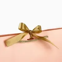 Пакет подарочный, упаковка, Present for you, 30&times;27.5&times;12 см