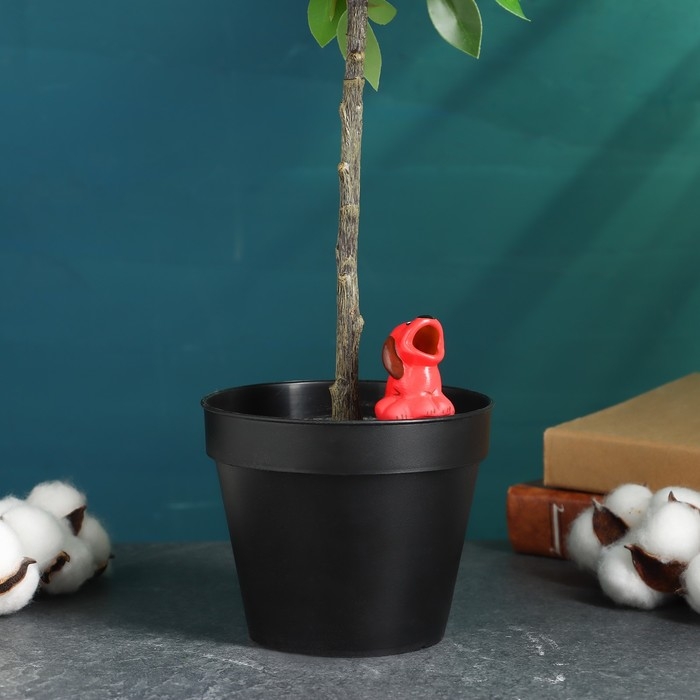 Ороситель Ороситель "Щенок" для комнатных и садовых растений Кунгурская керамика, 30мл, 8.5см, микс