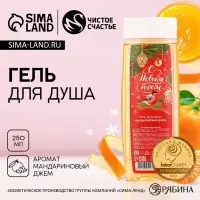 Гель для душа &laquo;С Новым Годом&raquo;, 250 мл, аромат мандаринового джема, Чистое счастье
