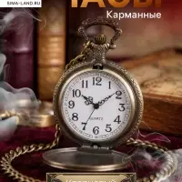 Часы карманные &laquo;Змея&raquo;, кварцевые, длина цепочки 40 см, циферблат d=4.5 см, медные