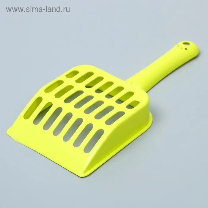 Совок "Вдохновение", микс видов и цветов