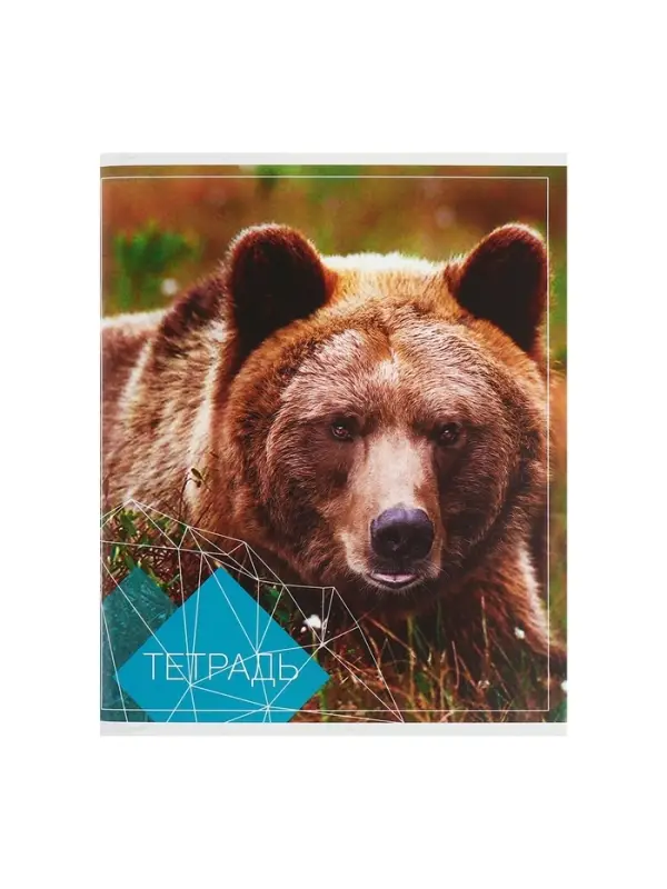 Тетради 96 листов в клетку, Calligrata &laquo;Животные&raquo;, серые листы, 4 штук