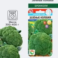 Семена Капуста брокколи &laquo;Зелёные колобки&raquo;, 0.2 г, &laquo;Сибирский сад&raquo;