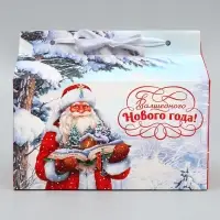 Коробка для сладостей «Волшебного Нового года!», 10 х 18 х 14 см