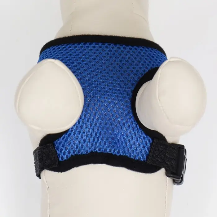 Шлейка мягкая из неопрена, размер S, ОШ 24 см, ОГ 24-34 см, синяя