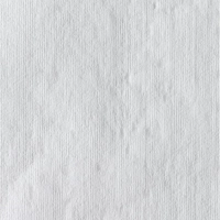 Материал протирочный нетканый WYPALLxX50LROLLWH1P1X1100 31х24,9см бел.8356