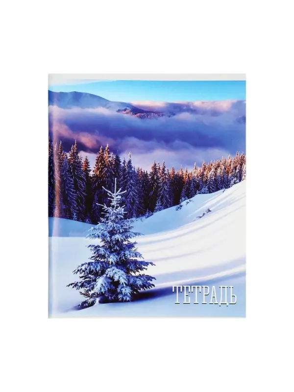 Тетрадь 48 листов в клетку, Calligrata «Времена года», обложка мелованная бумага, серые листы, МИКС
