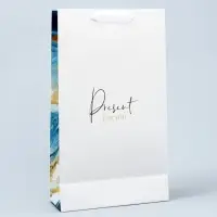 Пакет подарочный под две бутылки, упаковка, &laquo;Present for you&raquo;, 35&times;20&times;9 см