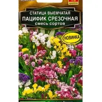 Семена цветов Статица Пацифик срезочная, смесь сортов Золотая серия, Ц/П,0,1 г Семена цветов Статица Пацифик срезочная, смесь сортов Золотая серия, Ц/П,0,1 г