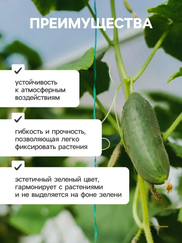 Проволока подвязочная, 50 м, толщина 2 мм, зелёная, Greengo