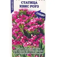 Семена Статица Квис Роуз /Сотка/ 10 шт /ПанАм/ h-70-90 см/*500 Семена Статица Квис Роуз /Сотка/ 10 шт /ПанАм/ h-70-90 см/*500