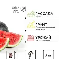 Семена Арбуз &laquo;Уральский Скороспел&raquo;, F1, 3 шт., &laquo;Уральский дачник&raquo;