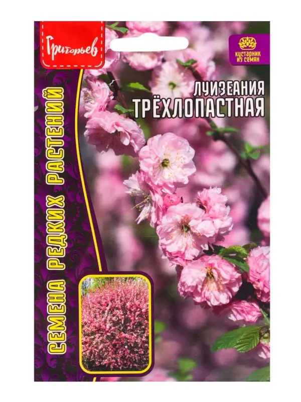 Семена цветов Луизеания Трёхлопастная (Миндаль)  3шт.  12.29 г.