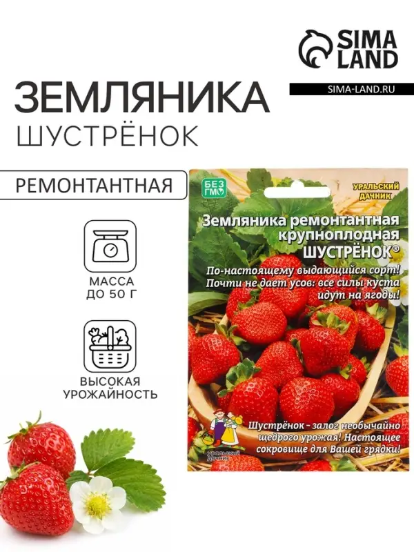 Семена Земляника &laquo;Шустрёнок&raquo;, 10 шт., ремонтантная, крупноплодная, &laquo;Уральский дачник&raquo;