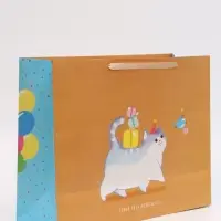 Пакет подарочный ламинированный, упаковка, &laquo;С Праздником!&raquo;, XL 49&times;40&times;19 см