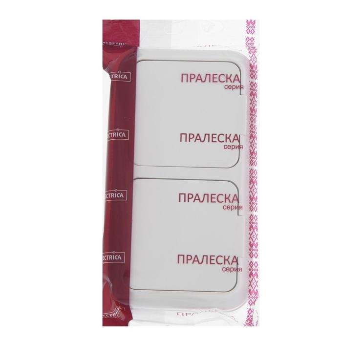 Розетка BYLECTRICA РА16-302 Пралеска, 16 А, 250 В, двухмест., наруж., без з/к, крышка, белая Розетка BYLECTRICA РА16-302 Пралеска, 16 А, 250 В, двухмест., наруж., без з/к, крышка, белая