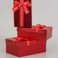 Набор подарочных коробок 3 в 1, прямоугольные 23&times;16&times;9.5 21&times;14&times;8.0 19&times;12&times;6.5 см