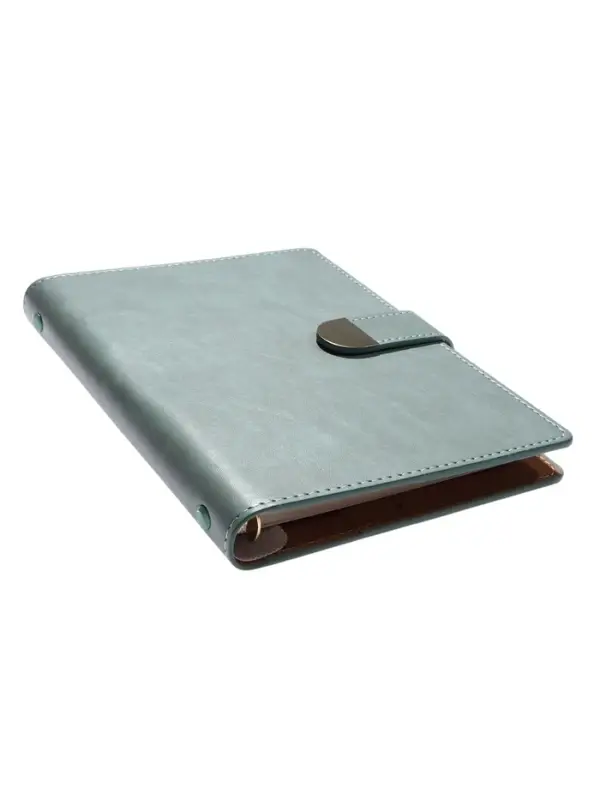 Органайзер на кольцах, C6, с хлястиком, 80л, линия, к/зам, Зеленый Органайзер на кольцах, C6, с хлястиком, 80л, линия, к/зам, Зеленый