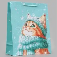 Пакет подарочный &laquo;Котёнок в шапке&raquo;, 26&times;12&times;32 см