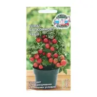 Семена Томат "Балконное чудо", цв/п, детерминантный,низкорослый, 0,1 г Семена Томат "Балконное чудо", цв/п, детерминантный,низкорослый, 0,1 г