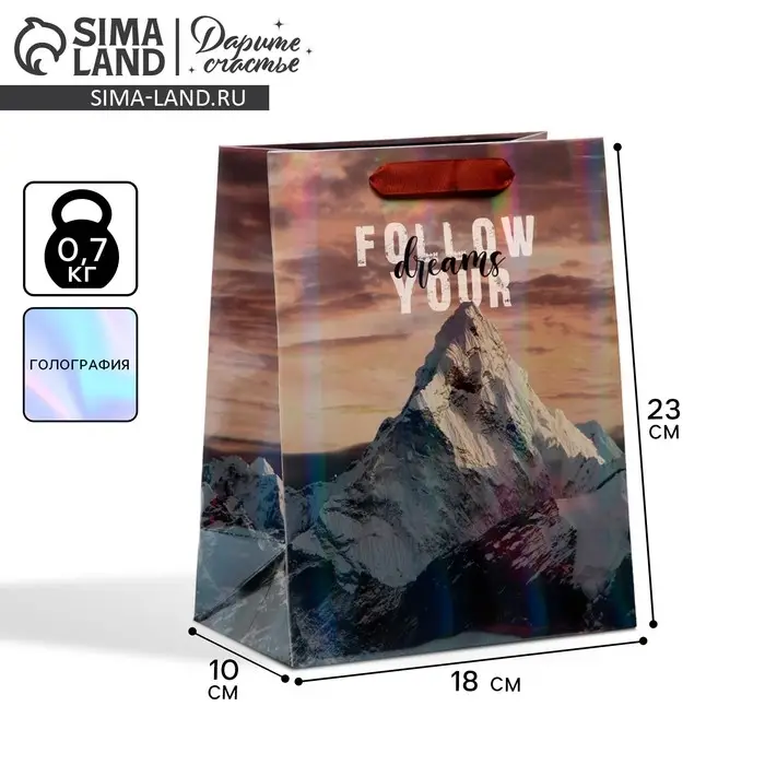 Пакет подарочный ламинированный, упаковка, «Гора», радужная голография, MS 18 х 23 х 10 см