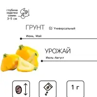 Семена Патиссон &laquo;Звездная россыпь&raquo;, серия &laquo;Лидер&raquo;, смесь, 1 г, &laquo;Агрофирма АЭЛИТА&raquo;