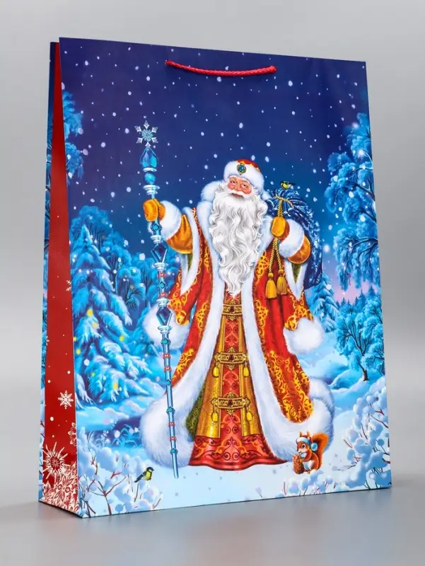 Пакет подарочный новогодний ламинированный, «Дед Мороз» , 33×10×42.5 см Пакет подарочный новогодний ламинированный, «Дед Мороз» , 33×10×42.5 см