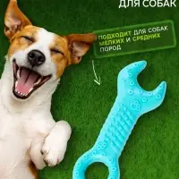 Массажная игрушка для собак &laquo;Ключ&raquo; 14 см, TPR, МИКС
