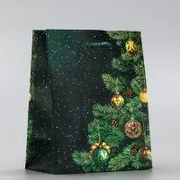Пакет подарочный новогодний ламинированный, «Ветки елки» , 11.5×6.5×14.5 см Пакет подарочный новогодний ламинированный, «Ветки елки» , 11.5×6.5×14.5 см