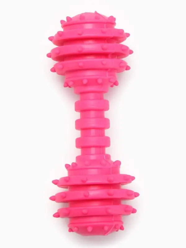 Жевательная игрушка для собак &laquo;Чемпион&raquo;, 12.5 см, TPR, розовая